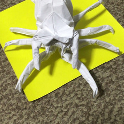 折り紙作品(蜘蛛) 2枚目の画像