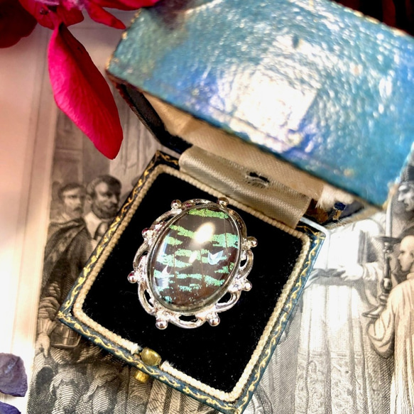 ニシキオオツバメガ翅の指輪(シルバーカラー) 1枚目の画像