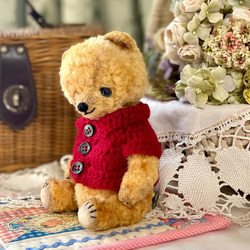 テディベア＜変わりポンチ目のコ＞ ぬいぐるみ Bearbunch（ぶん