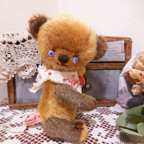 テディベア＜変わりポンチ目のコ＞ ぬいぐるみ Bearbunch（ぶん