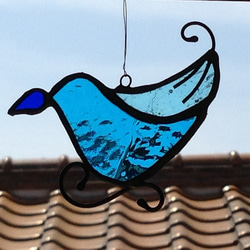 幸せの青い鳥 2枚目の画像