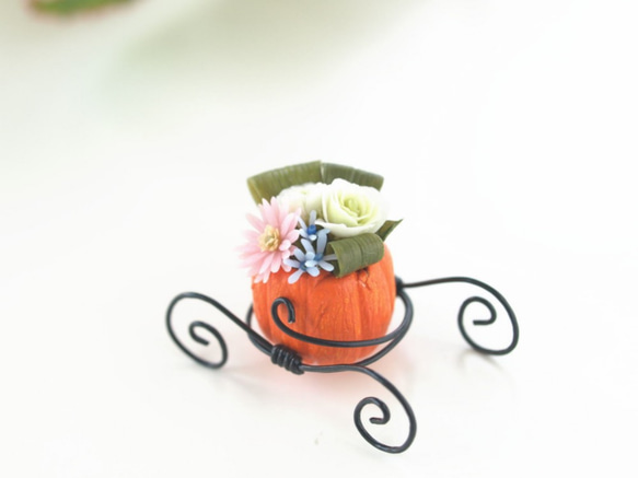 南瓜馬車的微型花卉[非洲菊粉紅] 第4張的照片