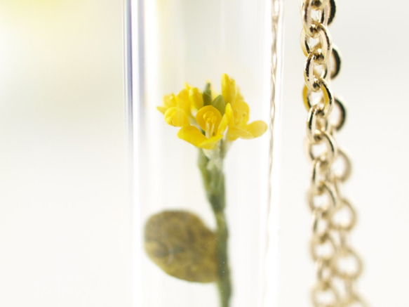 [微型花春季的玻璃管挂件微型油菜花3] 第2張的照片