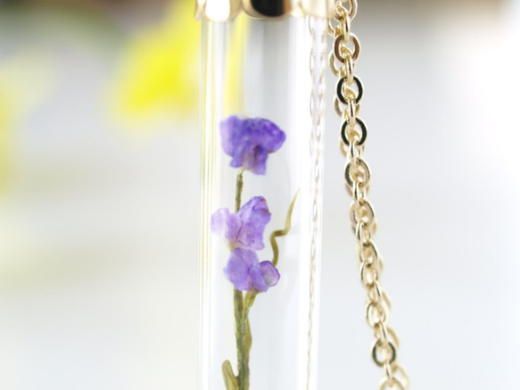 [微型花卉春季的玻璃管挂件叫小甜豌豆5] 第2張的照片