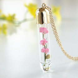 [微型花卉春季的玻璃管挂件豌豆5] 第1張的照片