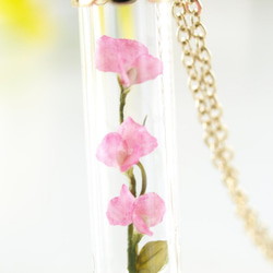 [微型花卉春季的玻璃管挂件豌豆5] 第2張的照片