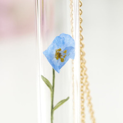 微型花玻璃管挂件喜馬拉雅藍罌粟1 14Kgf季節 第4張的照片