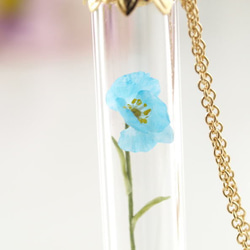 [再次上架]微型花玻璃管挂件喜馬拉雅藍色罌粟2的14Kgf季節 第2張的照片