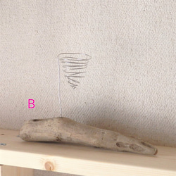 流木のエアプランツホルダー (B) 3枚目の画像