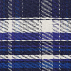 タータンチェック 綾織り ブルー系 4枚目の画像