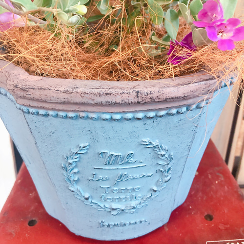 新作♡【レウコフィルム】毎年楽しめる薄紫のお花♡シルバー