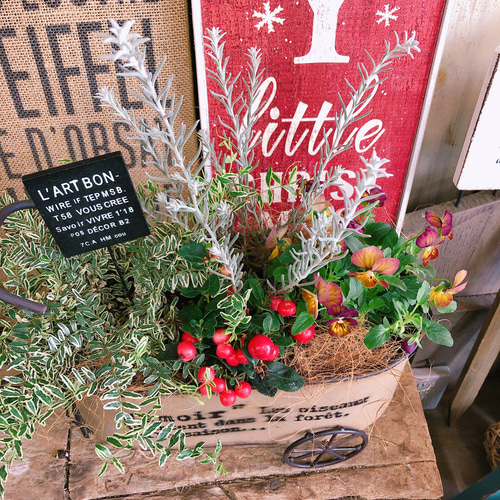 新作♡現品【アンティークビオラ入り寄せ植え】ガーデンピックつき