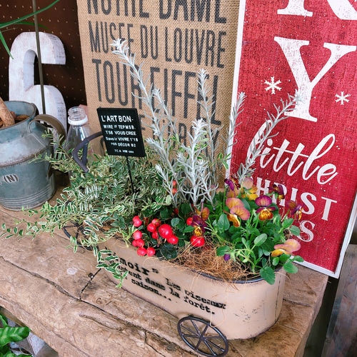 新作♡現品【アンティークビオラ入り寄せ植え】ガーデンピックつき