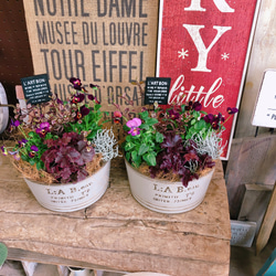 新作♡【ダークカラー寄せ植え】素敵なガーデニング♡ピックつき