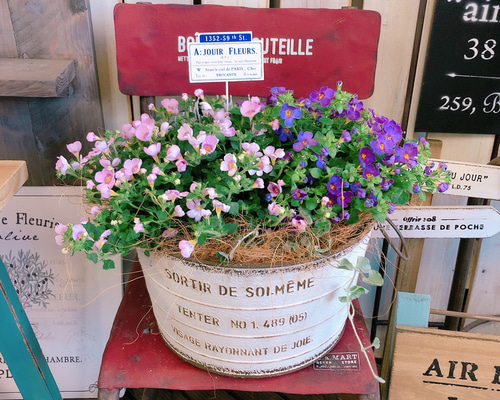 最安値！昔の！可愛いい花柄！底が、硬いお盆の様な大きなガゴ！ 最