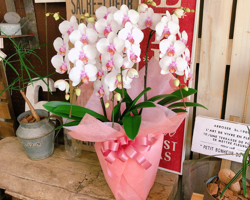 1_fc8af77bb2caa65c435ffd698f38