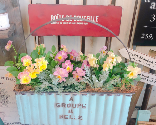 1_0493e9da2e4cc0a813c49e1e2a5d