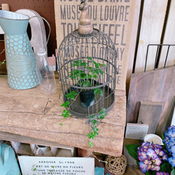 1_df5470a4867dd654e5f29e2c6f91