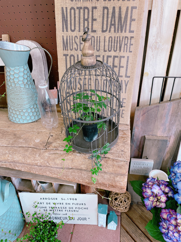 オシャレな鳥かご♡ラウンド小【インテリア雑貨ガーデン雑貨】ジャンク