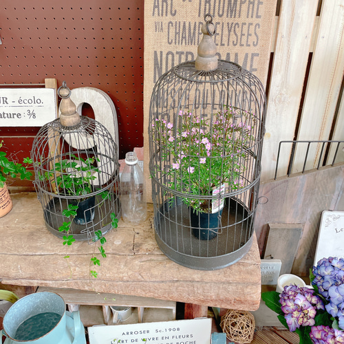 オシャレな鳥かご♡ラウンド小【インテリア雑貨ガーデン雑貨】ジャンク