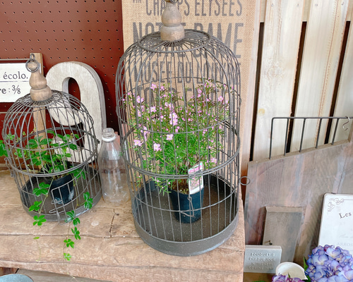 1_c540cc101a061235f20794f89494