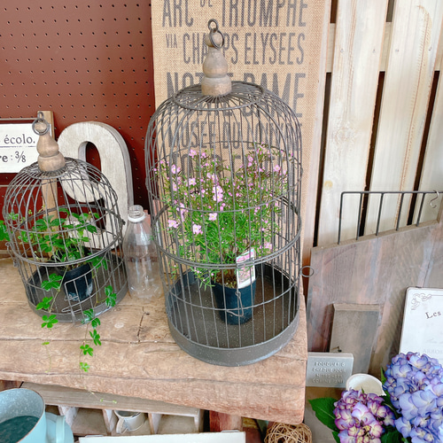 インテリア 鳥かご アンティーク木製 鳥かご パルテノン神殿