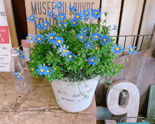 1_80d7d97f56c2cd43227bb319130d