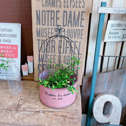 ラスト！鳥かご風♡おしゃれなブリキ鉢【インテリア雑貨ガーデニング