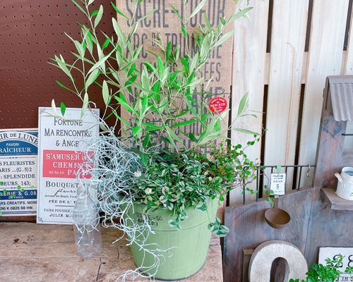 1_241645e04233677d6db431896b24