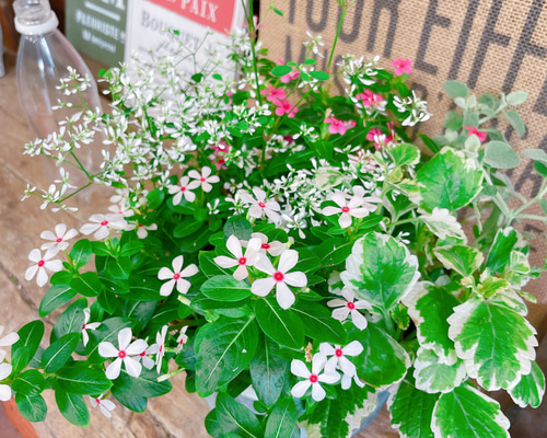 1_c9dabd7848b13ec45b81ecd35707