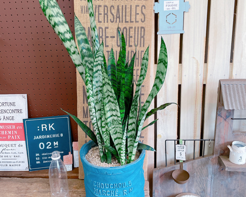 1_5209307f05709546ceff03aa5ab9