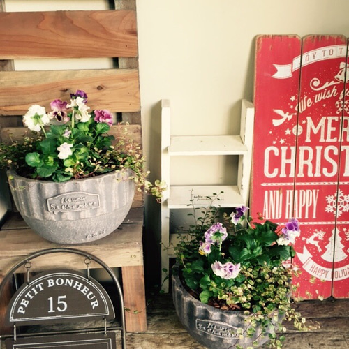 新作♡【シックなガーデニング】陶器鉢入り♡フリフリパンジー