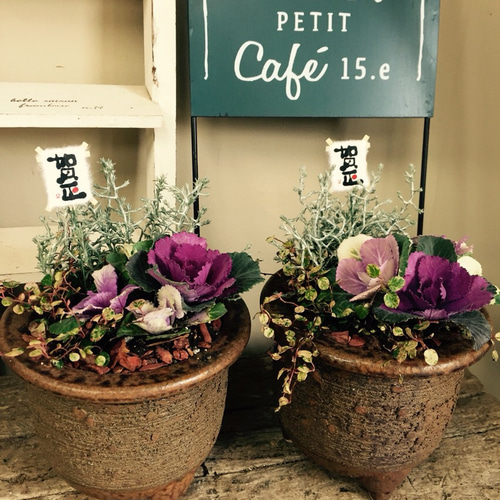 新作♡【ミニミニ寄せ植え】和風陶器鉢♡ハボタン&プラチーナ&スポット