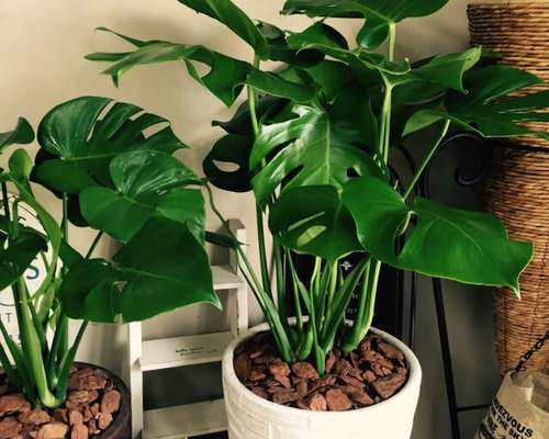 1_aa0c5d7abfb1eb2e70897284747c