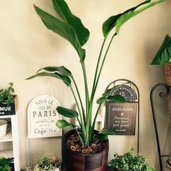 1_ae728da7d06fff1d61bef218f3e2