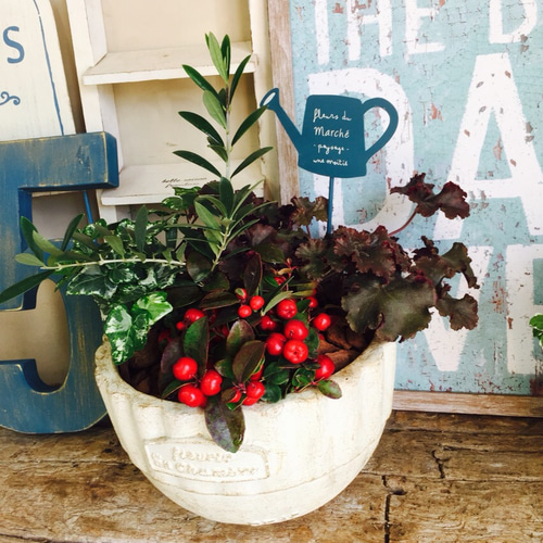 シャビーな陶器の植木鉢と受け皿セット(鉢6個、皿5枚) 僕の