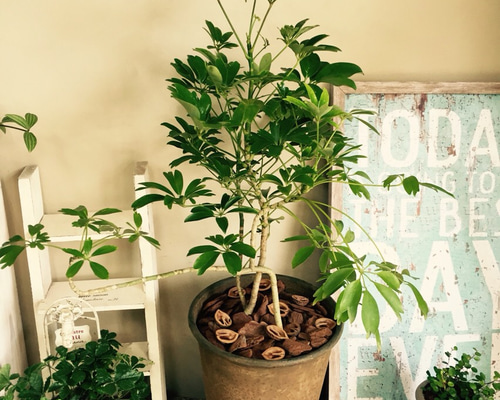 1_caa0ef2da4e1548d92df58ef1bcd