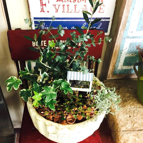 ご購入済み リメイク鉢 丸陶器鉢 ガーデニングwelcome ご購入済み