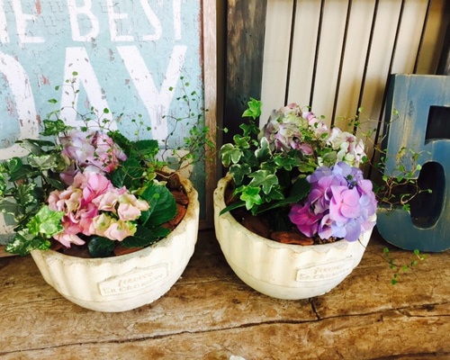 1_b0e6320e2f645c733a83154800f7