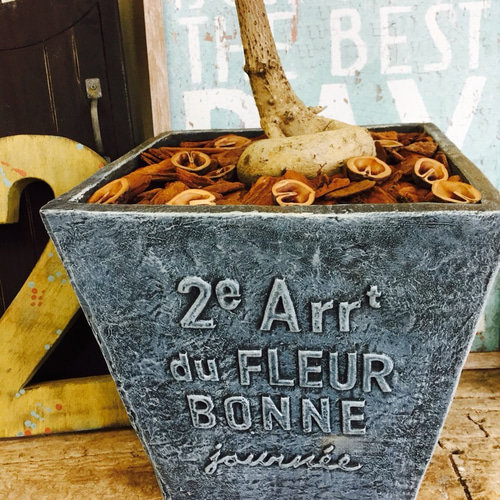 特大♡現品【インディアンアーモンド】かっこいい青系スクエア陶器鉢