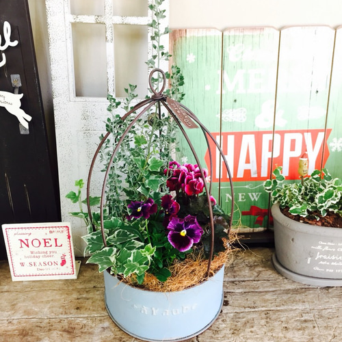 新作♡現品【鳥かご水色ブリキ 寄せ植え】カッコイイおしゃれな植物