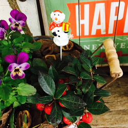 現品SALE♡【コロンとしたクレスト入り寄せ植え】クリスマスピック付！お花&グリーン♡白ブリキ鉢 2枚目の画像