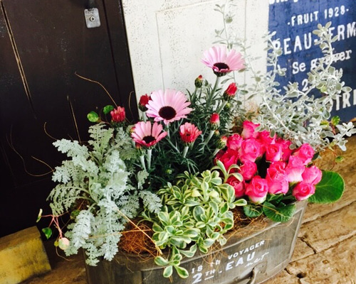 FlowerKitchen 季節のお花の寄せ植え 花苗6種 タル型鉢