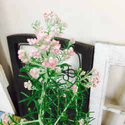 新作♡現品【ライスフラワー】アイビー寄せ植え 赤系ブリキ鉢♡すてきなお花 4枚目の画像