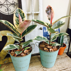 1_27e914889263a3a8758af9405809