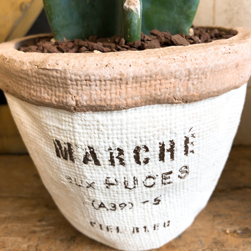 ※最終SALE※超希少！マリアンネフオタリ　サボテンの花　陶器置物アラビア Amazon.co.jp: PLANCHU サボテン ヒボタン カラーおまかせ 陶器