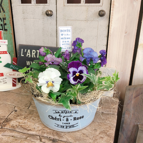 新作♡現品【フリンジ パンジー 寄せ植え】可愛いガーデニング♡水色系  