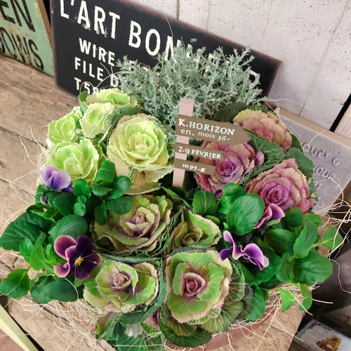 新作♡現品【葉牡丹&ビオラ寄せ植え】おしゃれなガーデニング♡深緑系