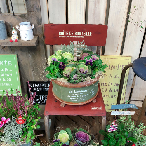 新作♡現品【葉牡丹&ビオラ寄せ植え】おしゃれなガーデニング♡深緑系