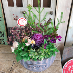 新作♡現品【葉牡丹&パンジービオラたっぷり7種類 寄せ植え】オシャレ